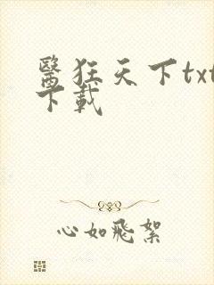 医狂天下txt下载