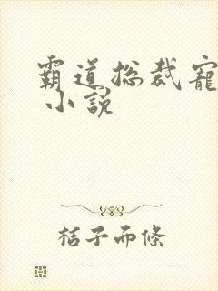 霸道总裁宠上天 小说