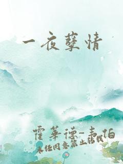 一夜孽情