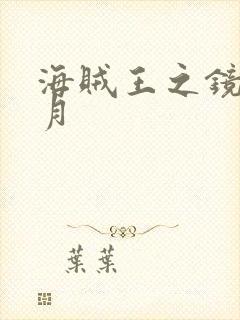 海贼王之镜花水月