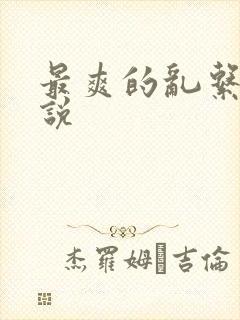 最爽的乱系列小说