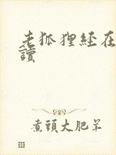 老狐狸经在线阅读