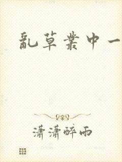 乱草丛中一杆枪