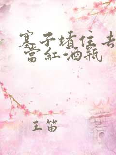 塞子堵住去上学 当红酒瓶