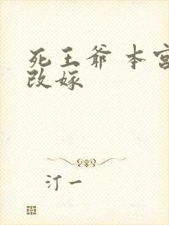 死王爷 本宫已改嫁