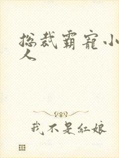 总裁霸宠小小女人