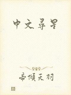 中文寻星