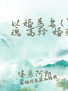 以婚为名 (军魂 高干 婚恋)