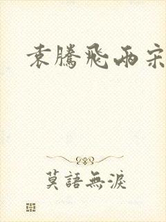 袁腾飞两宋风云