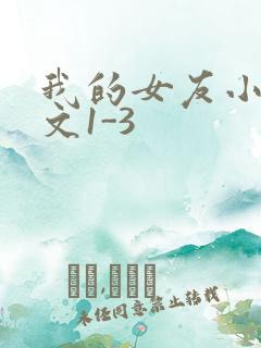 我的女友小洁全文1-3