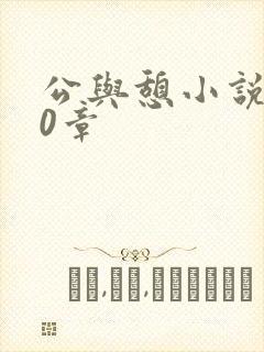 公与憩小说400章