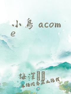 小鸟 acome