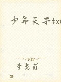 少年天子txt