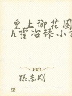 皇上御花园hlh霍冶臻小说