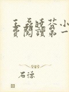 王磊晓芬小说免费阅读第一章