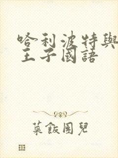 哈利波特与混血王子国语