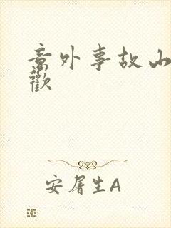 意外事故山月辞欢