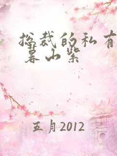 总裁的私有宝贝 暮山紫