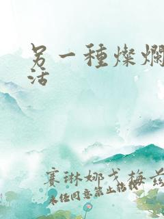 另一种灿烂的生活