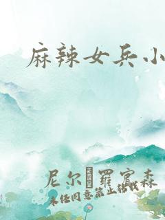 麻辣女兵小说版