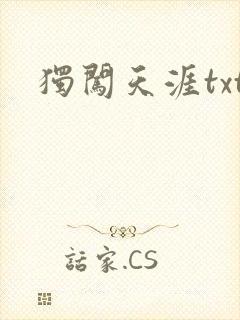独闯天涯txt