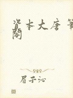 资本大唐 笔趣阁