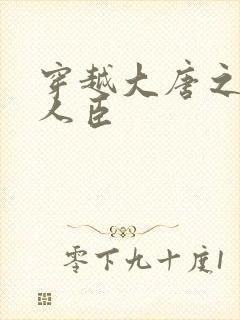 穿越大唐之位极人臣