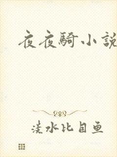 夜夜骑小说