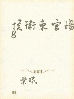 侯卫东官场笔记8