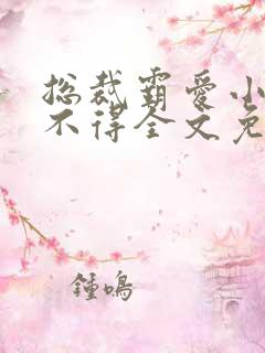 总裁霸爱小妻惹不得全文免费阅读