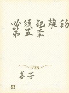 必须犯规的游戏第五季