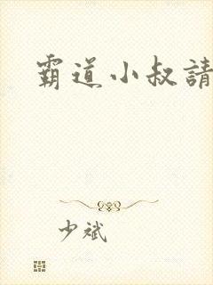 霸道小叔请轻撩