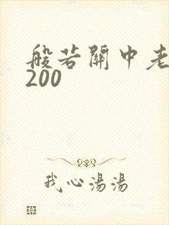 般若关中老人5200