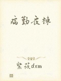 病勤夜栋
