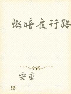 燃暗夜行路