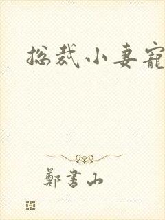 总裁小妻宠上天