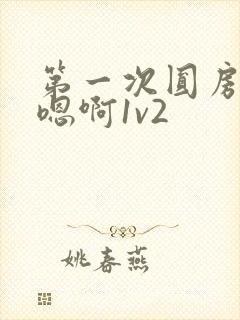 第一次圆房～h嗯啊1v2