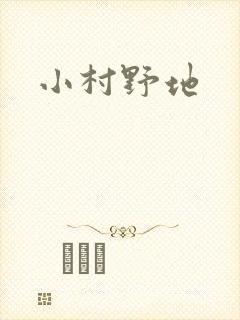 小村野地