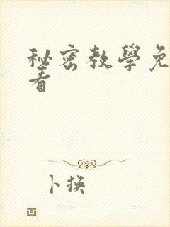 秘密教学免费观看