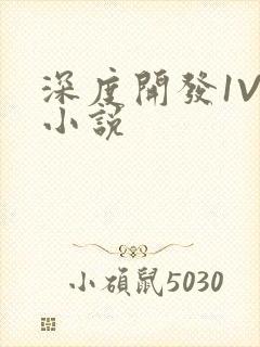 深度开发1V3小说