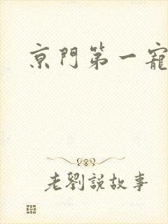 京门第一宠