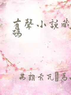 有声小说藏地密码