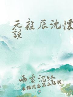 元毅辰沈怀妆小说