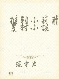 推到小莉萝稚嫩农村小说