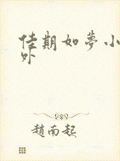 佳期如梦小说番外