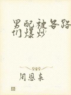 男配被各路大佬们爆炒