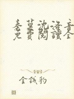 秦莫沈洛音小说免费阅读全文