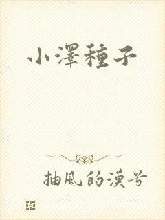 小泽种子