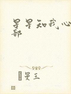 星星知我心第二部