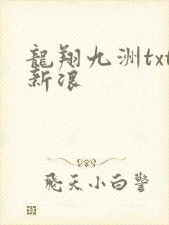 龙翔九洲txt新浪